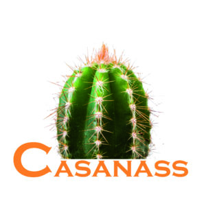 casanass_logo_doopler